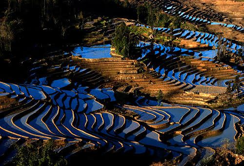 Yuanyang Rice Terraces