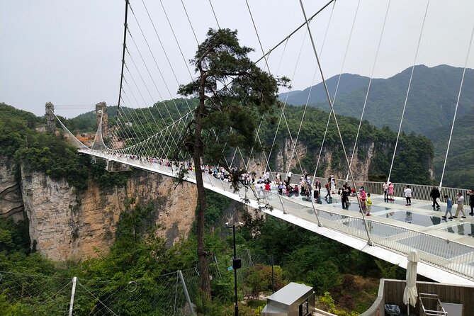 Zhangjiajie Grand Canyon Glass Bridge
