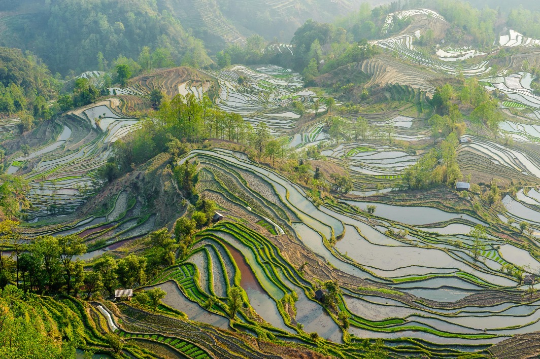 Yuanyang Rice Terraces