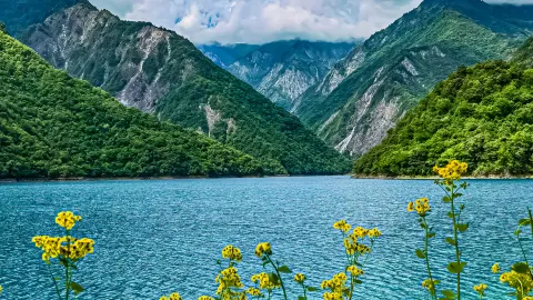 陇南
