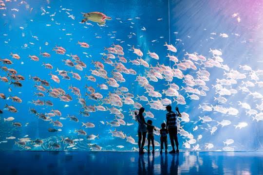 Chimelong Ocean Kingdom