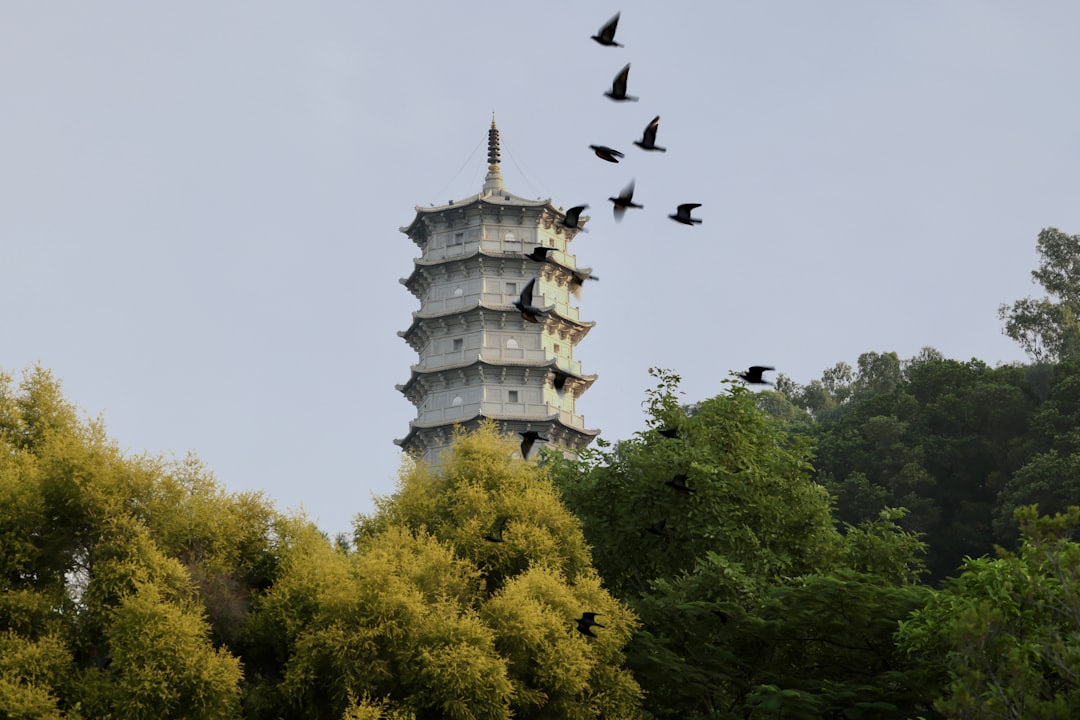 大雁塔