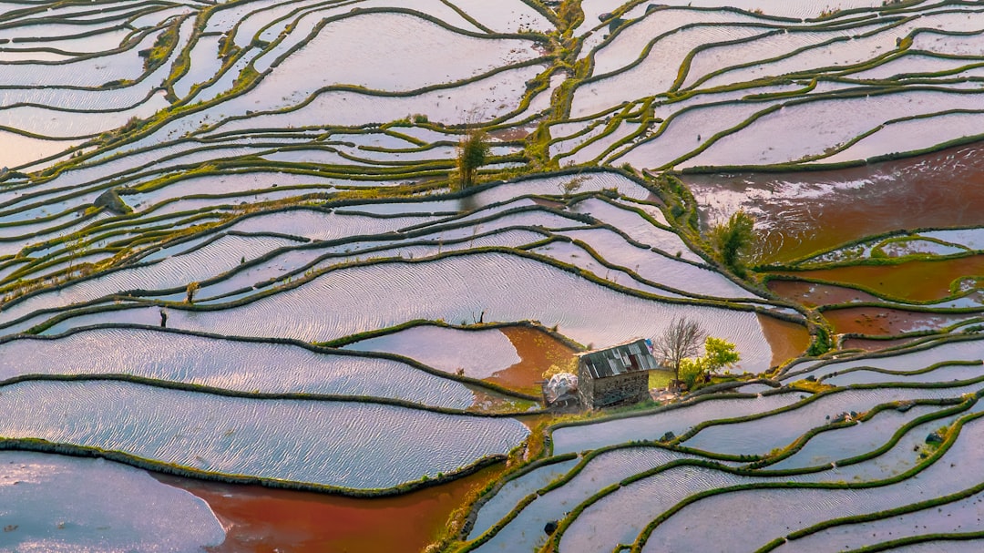 Yuanyang Rice Terraces